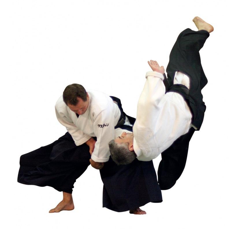 Hakama aikido iwata importation japon